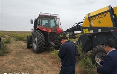 2019年，內(nèi)蒙奈吉牧草有限公司，采購(gòu)一臺(tái)Anderson檸條平茬機(jī)